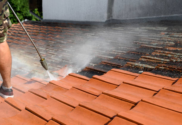 Best Fence Pressure Washing  in Dover, FL