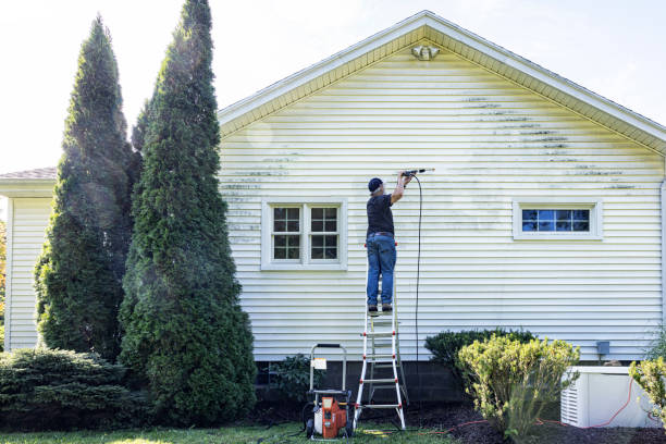 Local Pressure Washing Services in Dover, FL