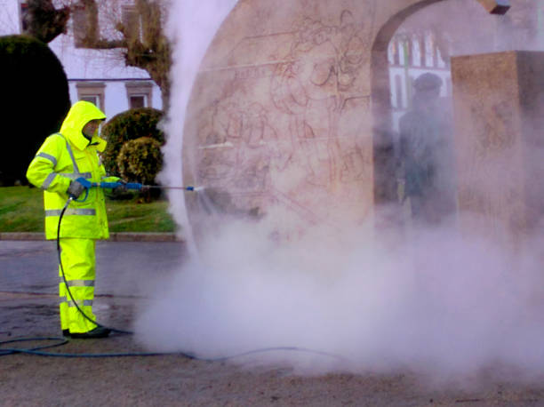 Best Exterior Home Cleaning  in Dover, FL